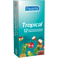 PASANTE TROPICAL da 12 pezzi
